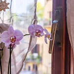 La Casa Di Elba