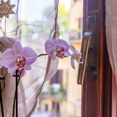 La Casa Di Elba